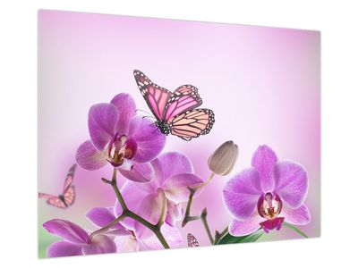 Glasbild - Schmetterling auf Orchideenblüten, fliederfarben