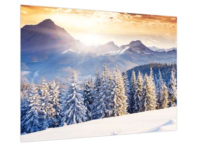 Glasbild - Berglandschaft im Winter