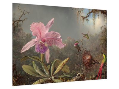 Obraz na szkle - Martin Johnson Heade, Cattleya Orchid and Three Hummingbirds, reprodukcje