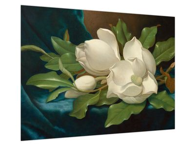 Obraz na szkle - Martin Johnson Heade, Giant Magnolias on a Blue Velvet Cloth, reprodukcje