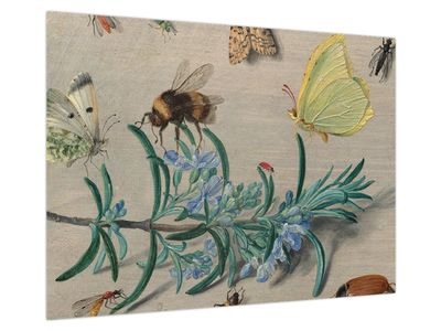 Obraz na szkle - Jan van Kessel the Elder, Insects and a Sprig of Rosemary, reprodukcje