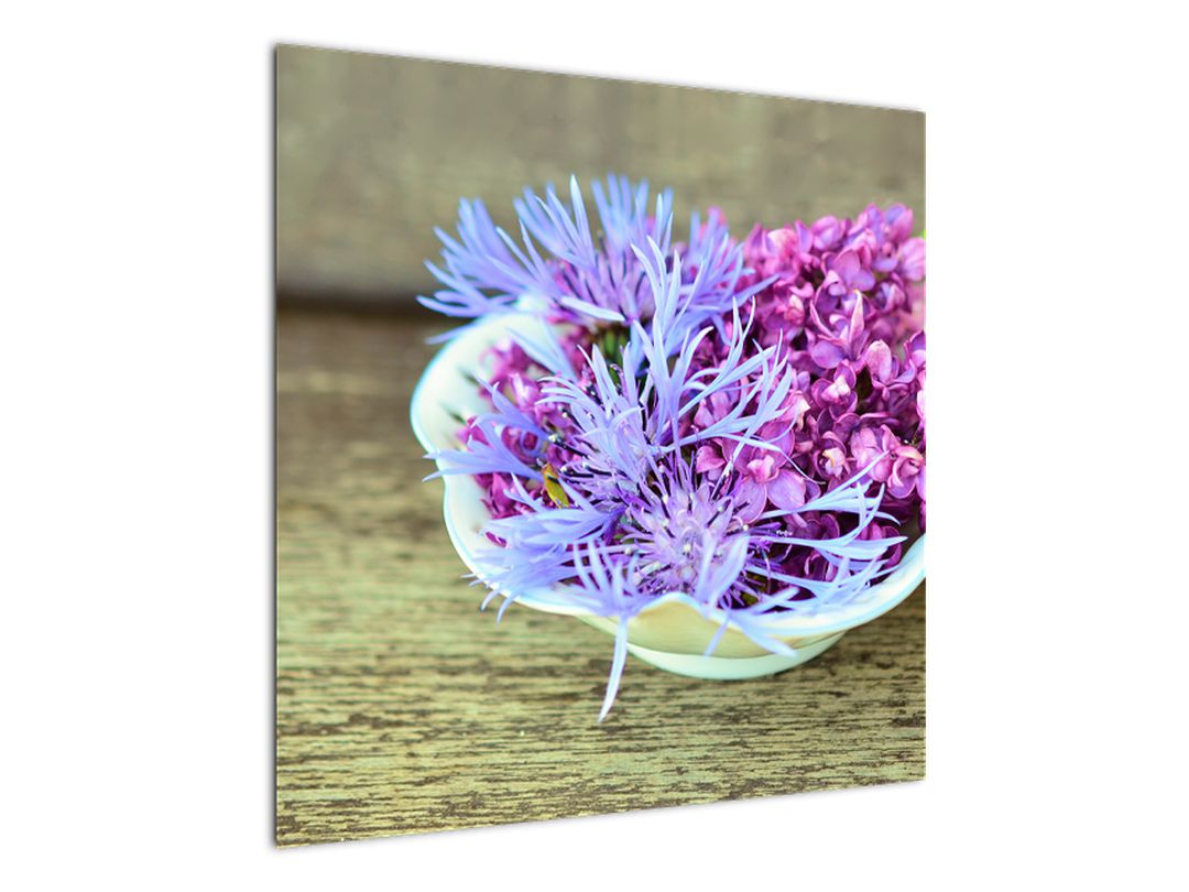 Obraz - fialová rostlinka (V020582V7070)