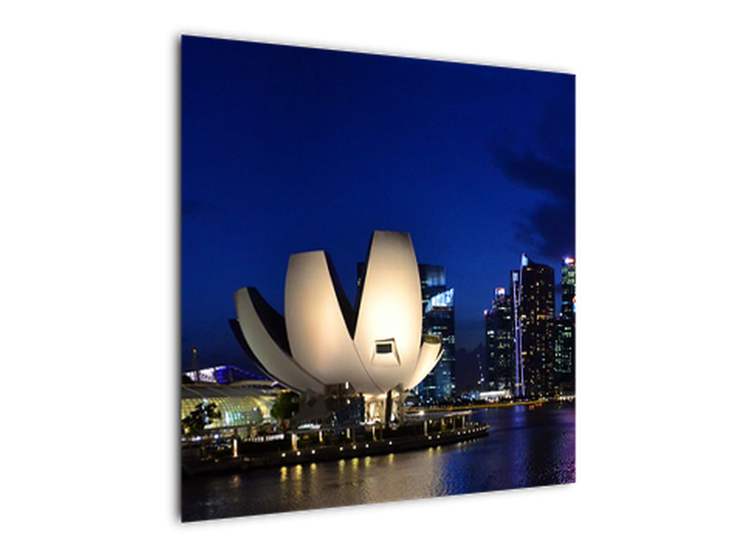 Obraz nočního Singapouru (V020610V7070)