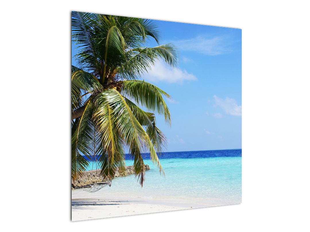 Obraz palmy na pláži (V020612V7070)