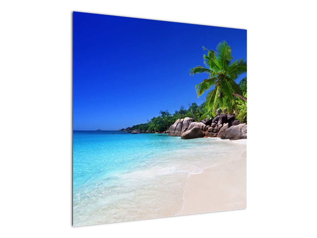 Obraz pláže na Praslin ostrově (V020936V7070)