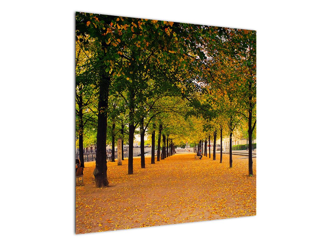Obraz aleje podzimních stromů (V020953V7070)