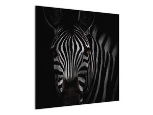 Schilderij - Zebra