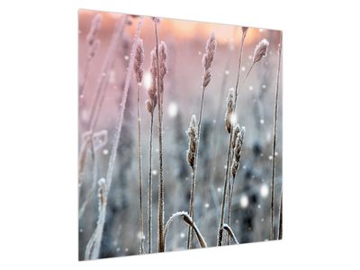 Bild auf Leinwand - Winterlandschaft