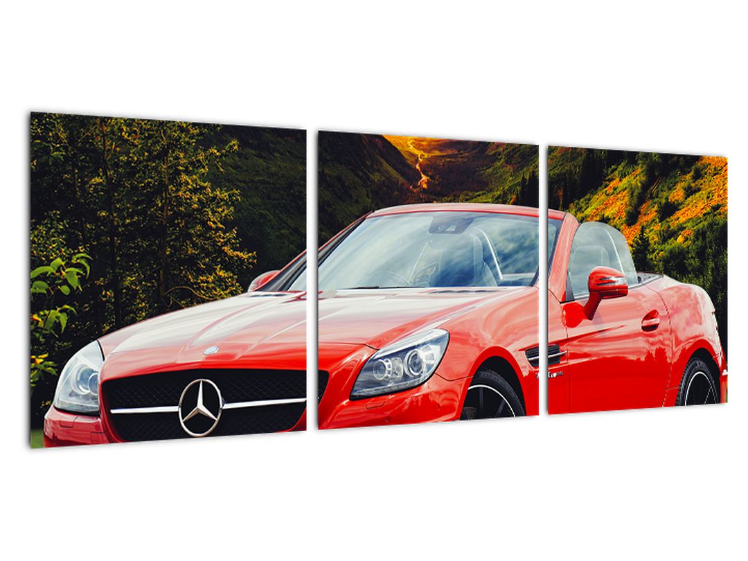 Obraz - červený Mercedes (V020564V9030)
