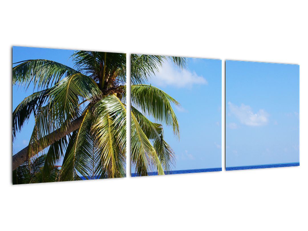 Obraz palmy na pláži (V020612V9030)