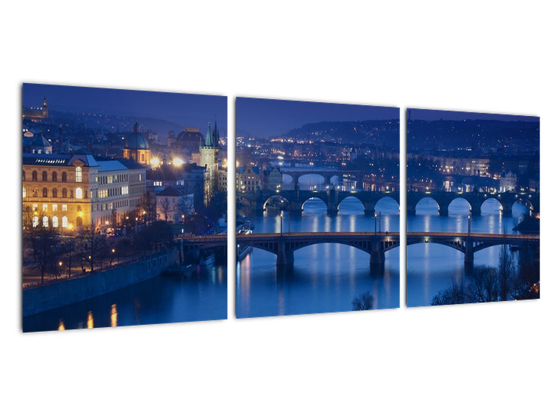 Obraz pražských mostů (V020932V9030)
