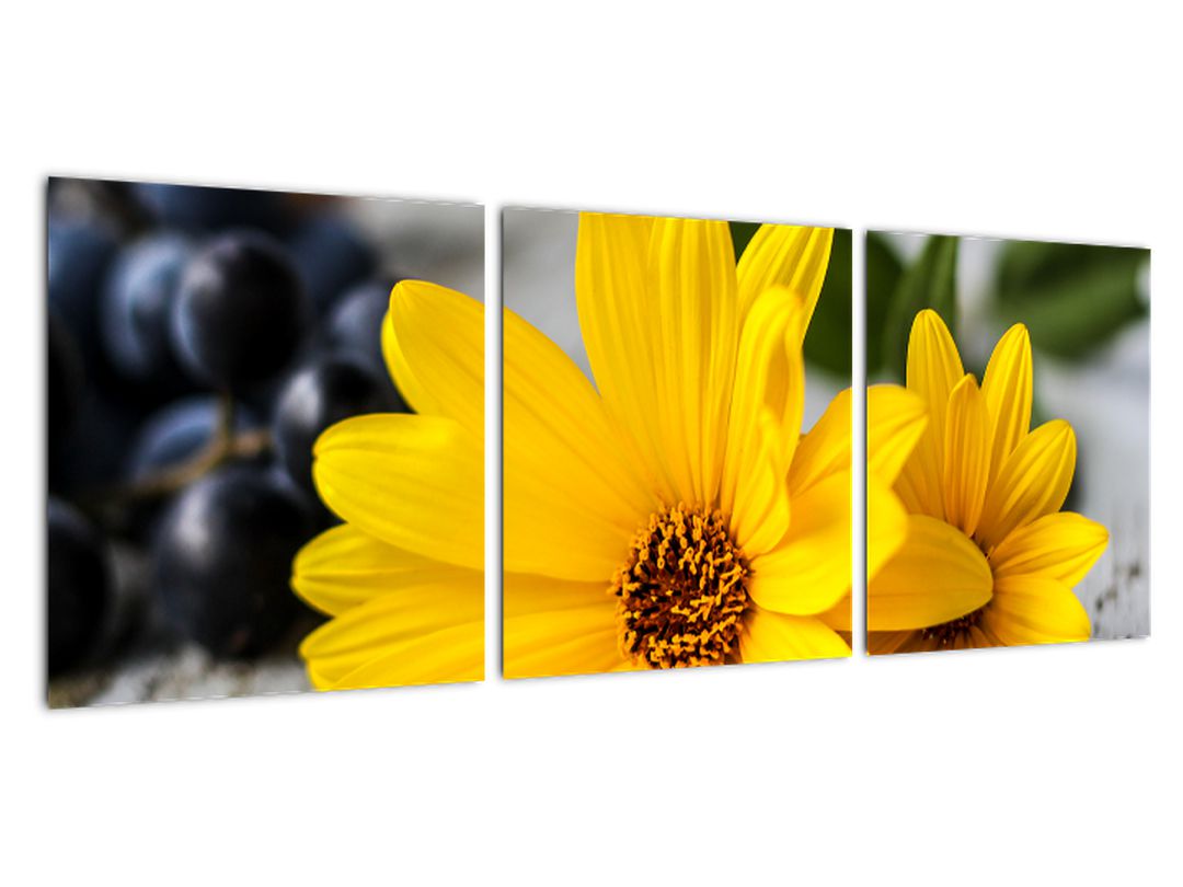Obraz žluté květiny (V020952V9030)