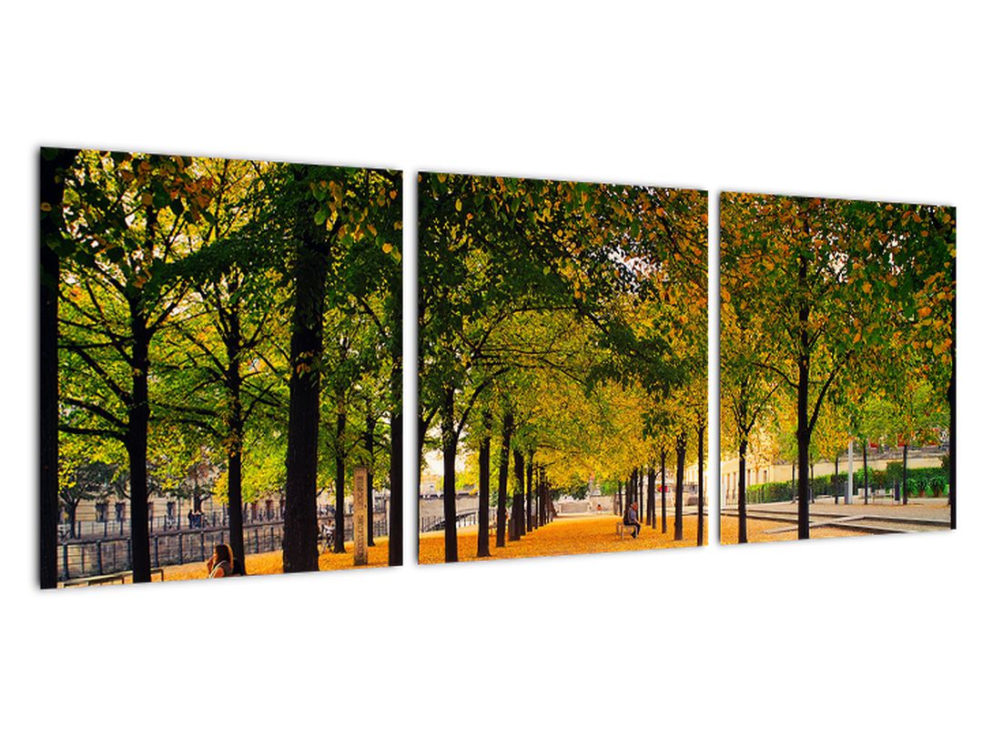 Obraz aleje podzimních stromů (V020953V9030)