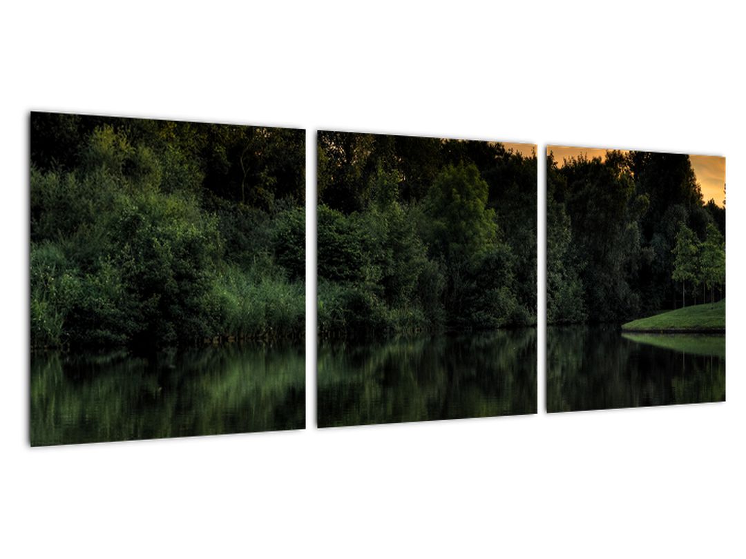 Obraz jezera u lesa (V020974V9030)