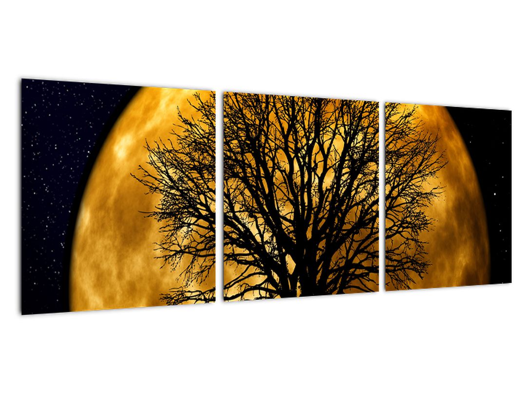 Obraz měsíce a siluet (V020995V9030)