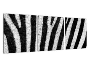 Tablou cu piele de zebră
