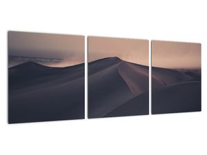 Obraz - Písečné duny