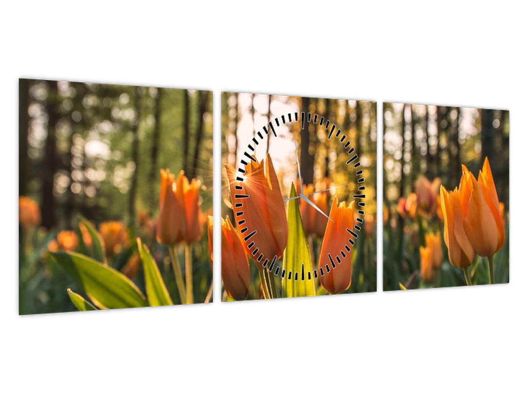 Obraz - oranžové tulipány (s hodinami) (V020552V9030C)