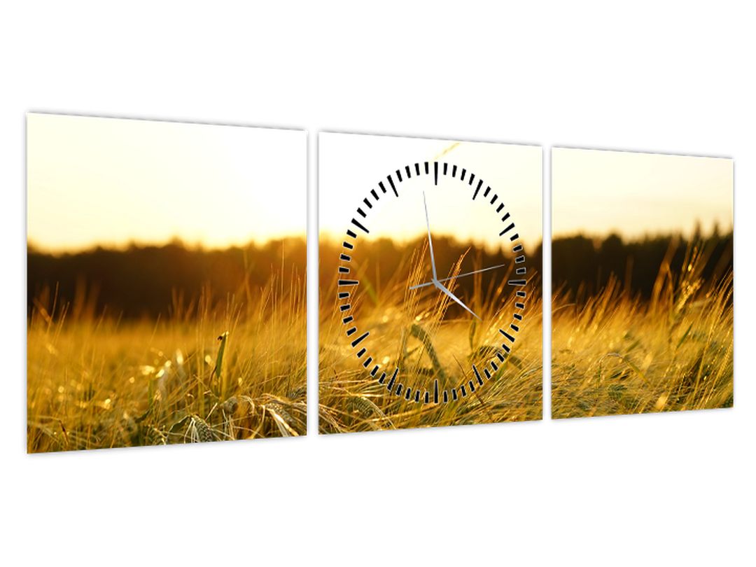 Obraz orosené trávy (s hodinami) (V020584V9030C)