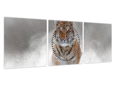 Obraz bežiaceho tigra v snehu (s hodinami) (V020719V9030C)