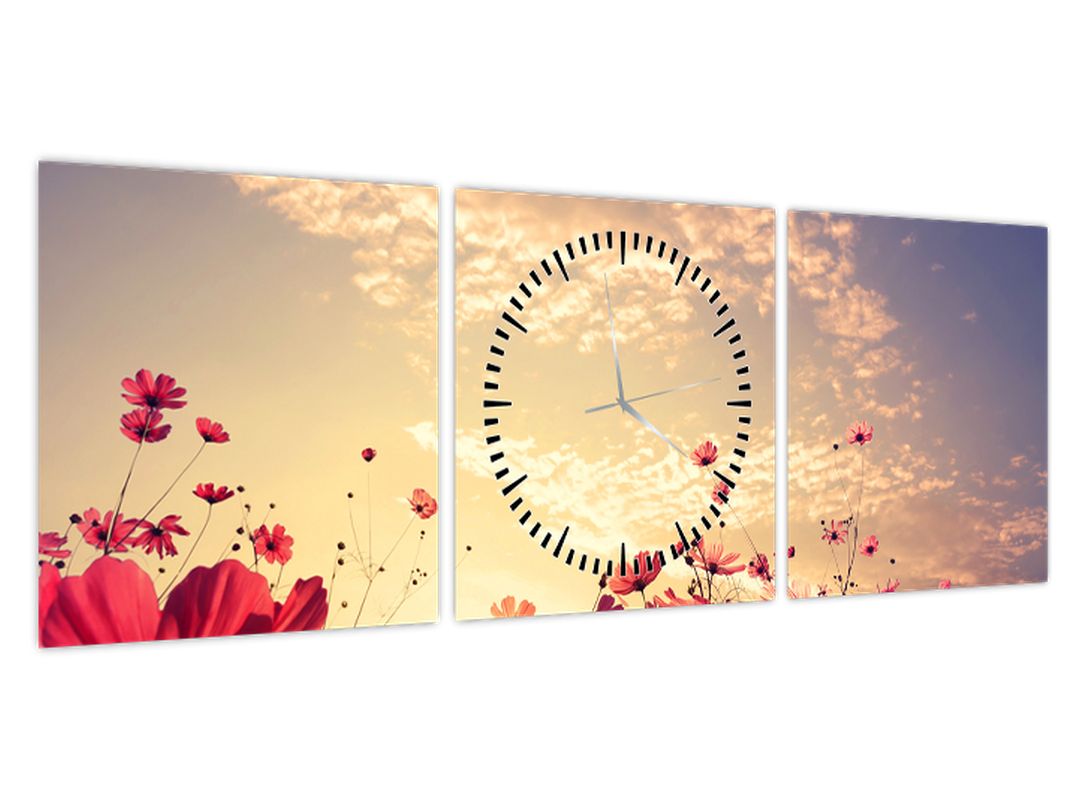Obraz - Louka s květinami (s hodinami) (V022505V9030C)