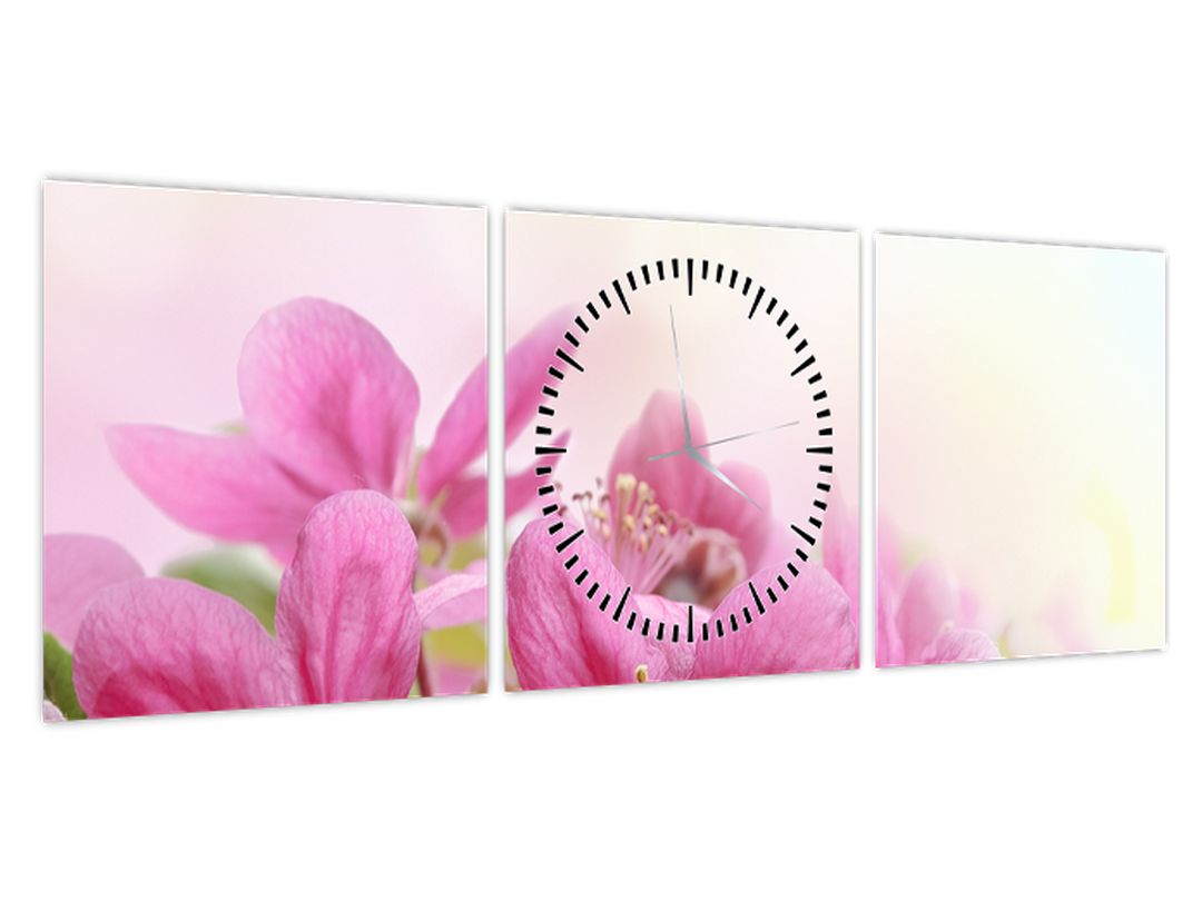 Obraz - Růžové květy (s hodinami) (V022529V9030C)