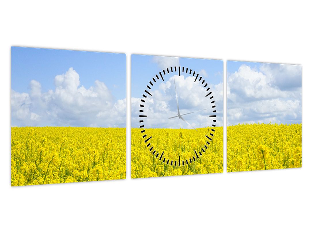 Obraz žlutého pole (s hodinami) (V022559V9030C)