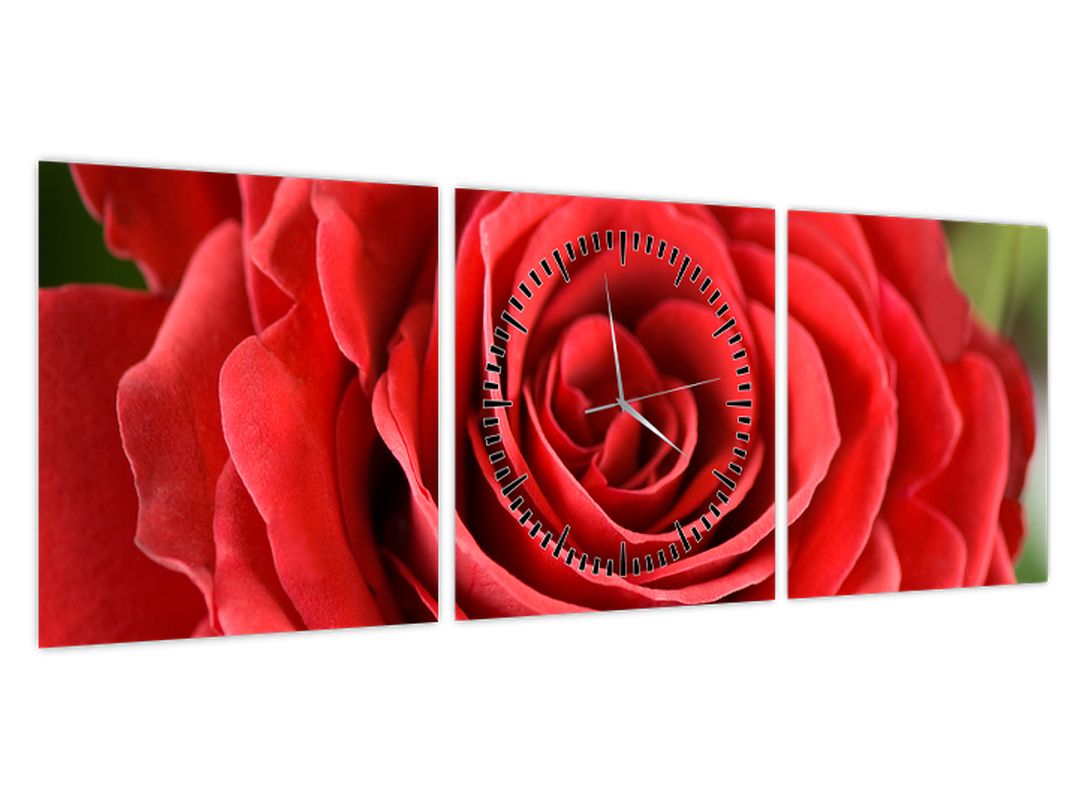 Obraz květu růže (s hodinami) (V022563V9030C)