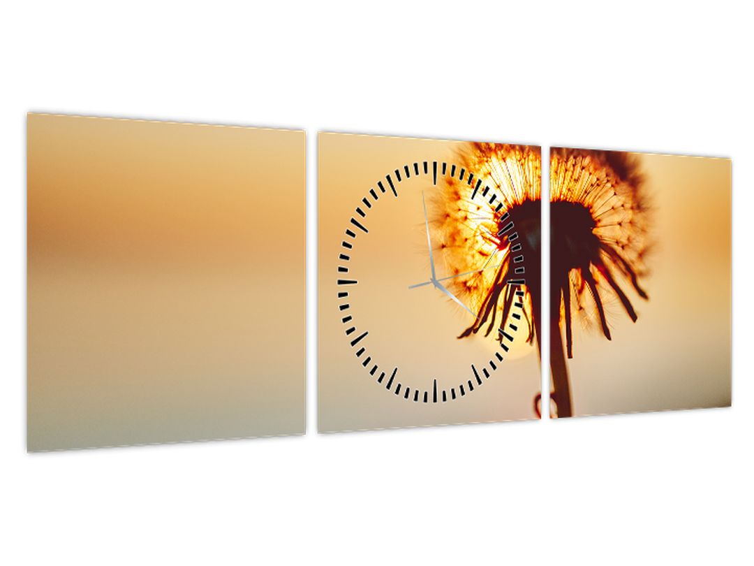 Obraz Pampelišky v západu slunce (s hodinami) (V022567V9030C)