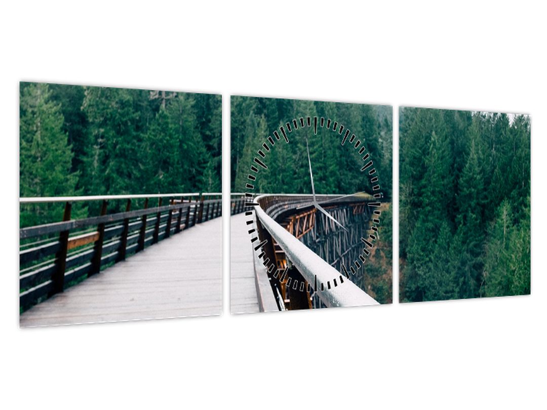 Obraz - Most k vrcholkům stromů (s hodinami) (V022571V9030C)