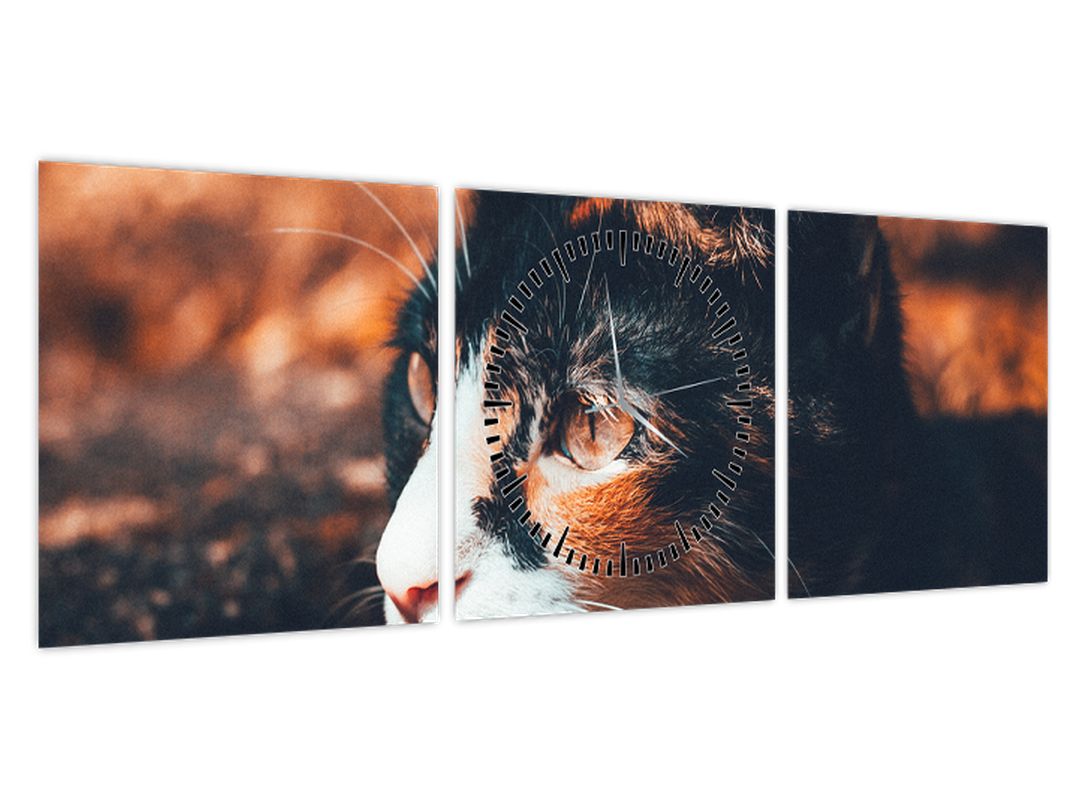 Obraz - Pohled kočky (s hodinami) (V022578V9030C)
