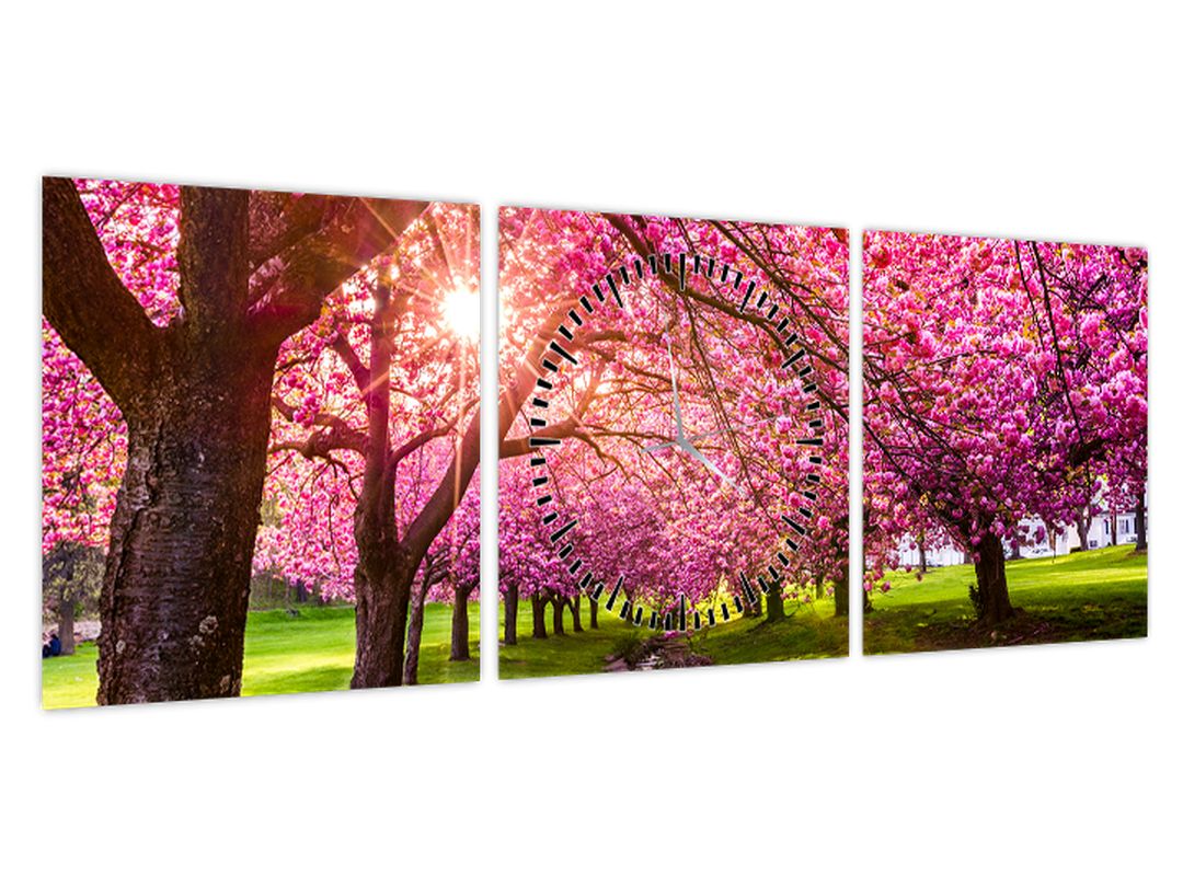 Obraz rozkvetlých třešní, Hurd Park, Dover, New Jersey (s hodinami) (V022582V9030C)