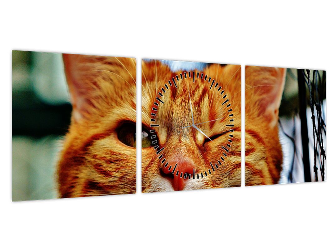 Obraz mrkající kočky (s hodinami) (V022588V9030C)
