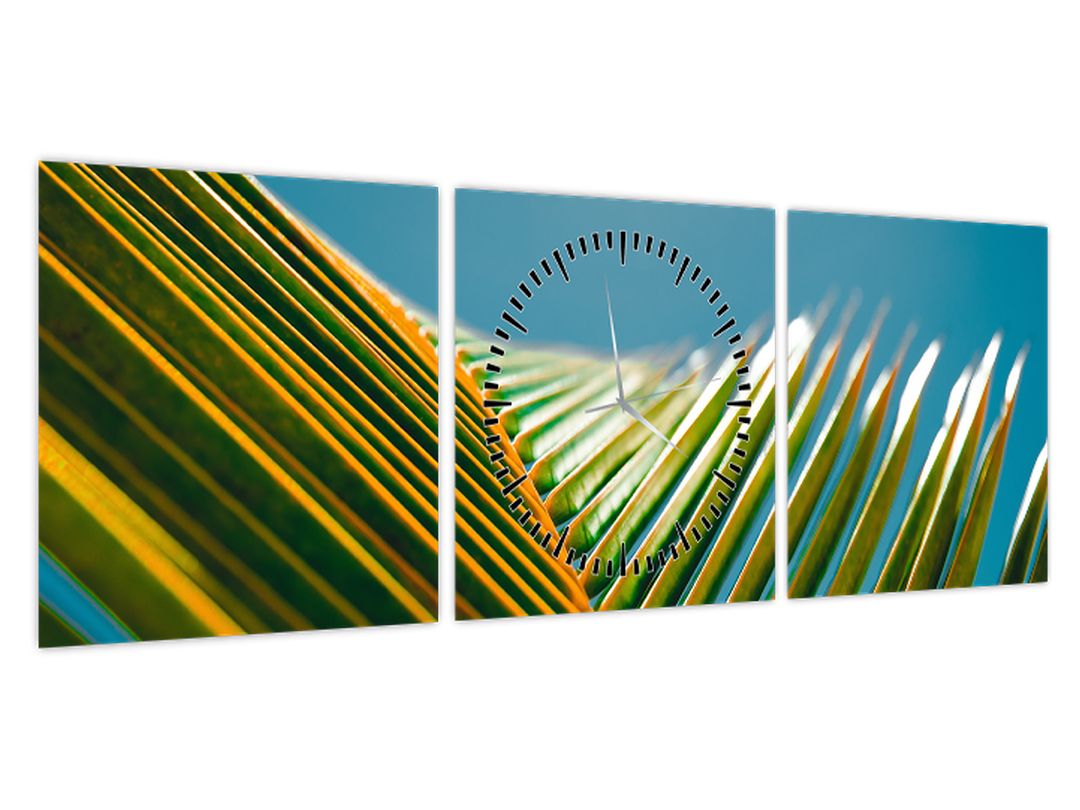 Obraz - Detail palmového listu (s hodinami) (V022685V9030C)