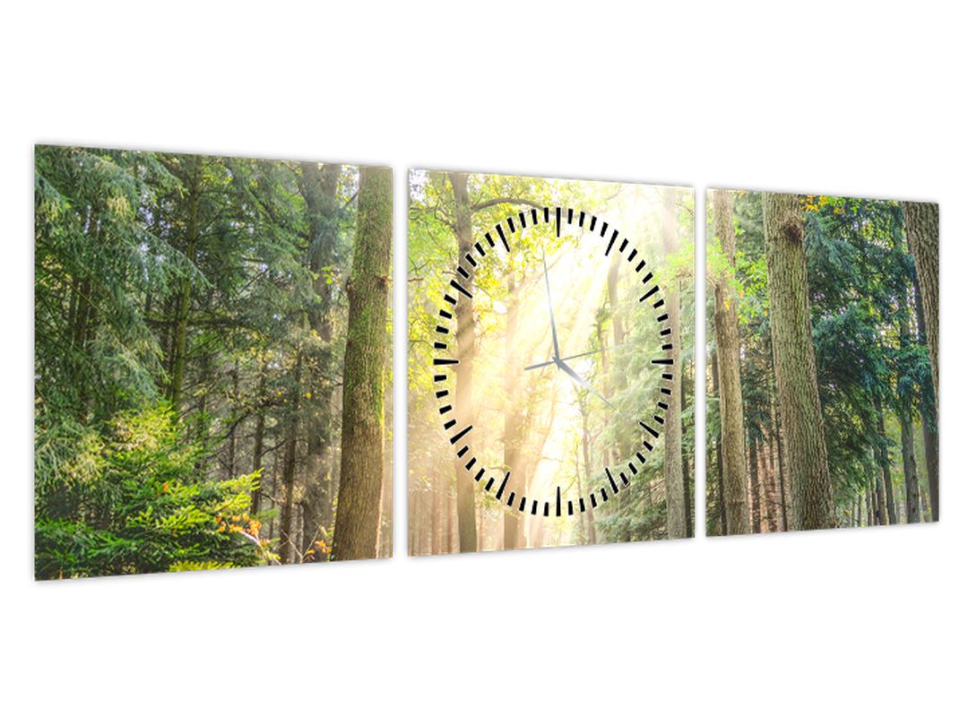 Obraz pěšiny v lese (s hodinami) (V022694V9030C)
