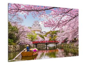 Obraz japonské třešně
