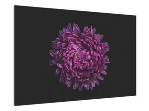 Obraz fialové květiny