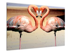 Schilderij - Twee flamingo´s