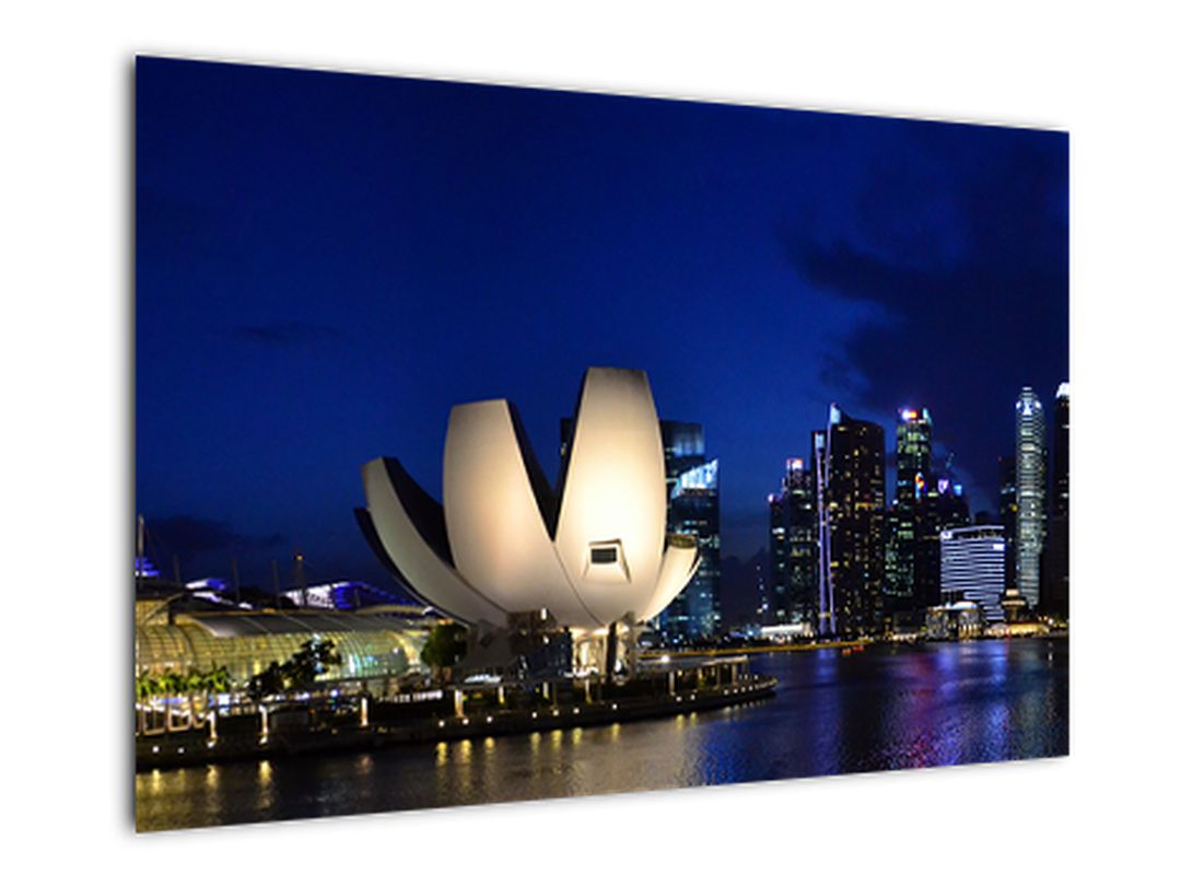 Obraz nočního Singapouru (V020610V9060)
