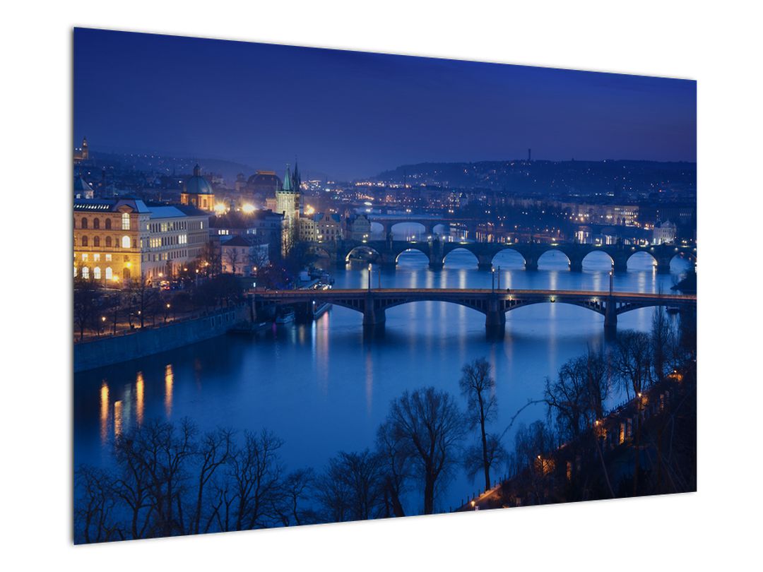 Obraz pražských mostů (V020932V9060)