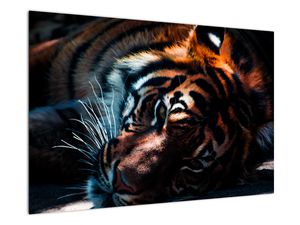 Slika ležečega tigra