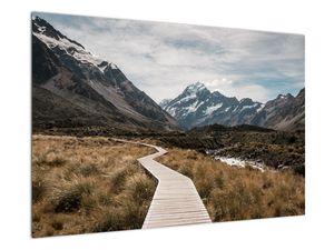 Obraz - Chodnik w dolinie góry Mt. Cook