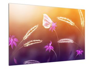 Slika - Rožnat metulj