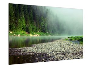 Bild auf Leinwand - Fluss am Wald