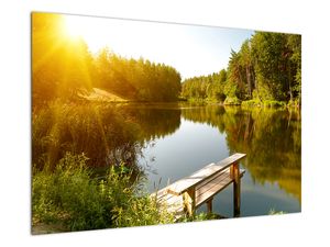 Slika - Jezero pri gozdu