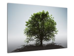 Slika - Osamljeno drevo