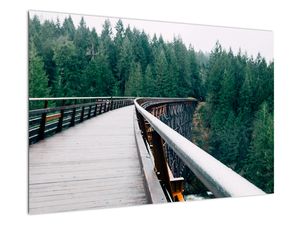 Slika - Most do vrhov dreves