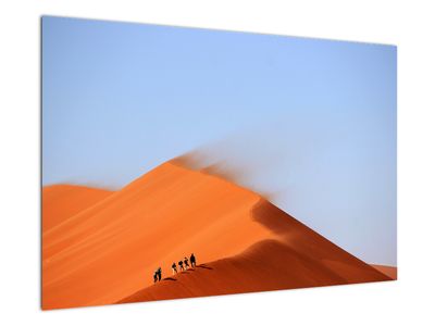 Obraz písečné pouště