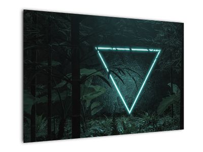 Obraz - Neónový trojuholník v jungli