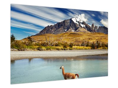 Obraz - Národní park Torres del Paine